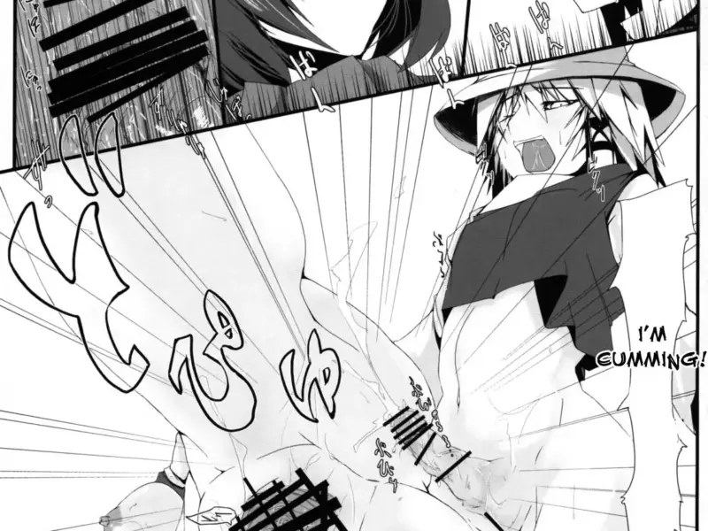 Touhou Mousou Kyou 12 (Touhou Project) -hentai-futanari